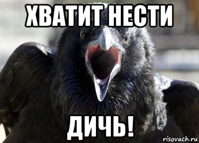 хватит нести дичь!, Мем ворона