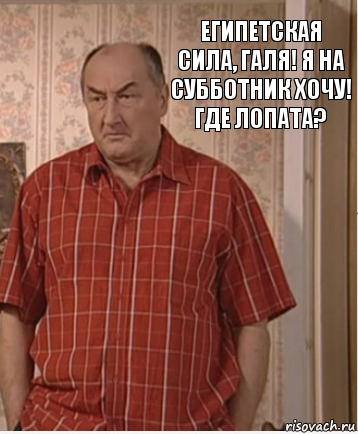 египетская сила, галя! я на субботник хочу! где лопата?, Комикс Николай Петрович Воронин