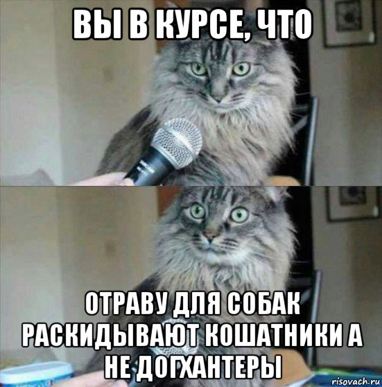 вы в курсе, что отраву для собак раскидывают кошатники а не догхантеры