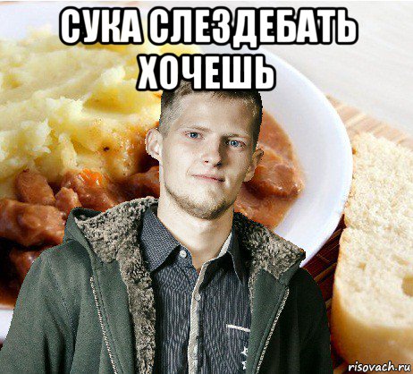 сука слездебать хочешь 