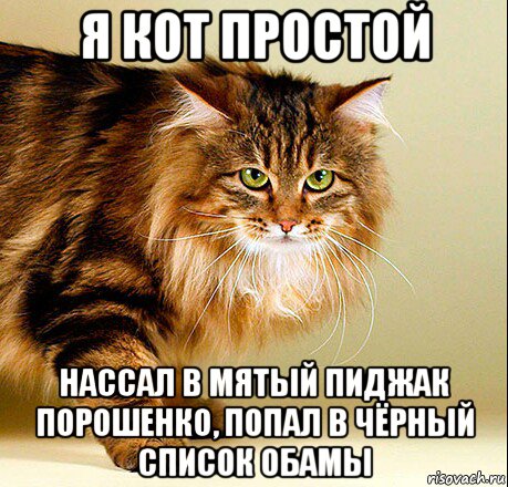 я кот простой нассал в мятый пиджак порошенко, попал в чёрный список обамы