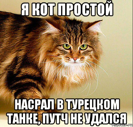 я кот простой насрал в турецком танке, путч не удался