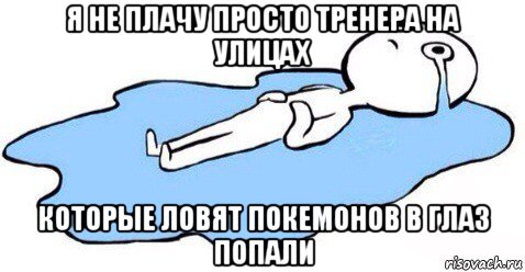 я не плачу просто тренера на улицах которые ловят покемонов в глаз попали, Мем Я плачу