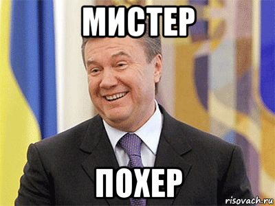 мистер похер, Мем Янукович