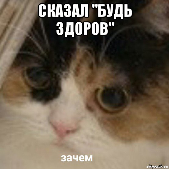 сказал "будь здоров" , Мем Зачем