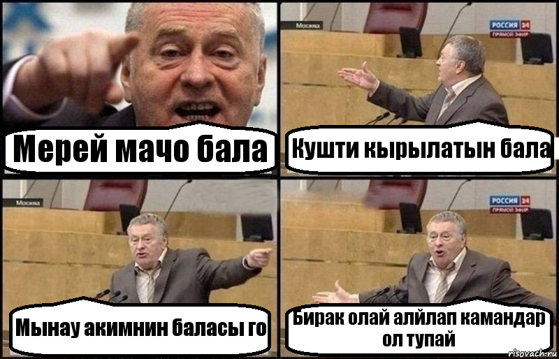 Мерей мачо бала Кушти кырылатын бала Мынау акимнин баласы го Бирак олай алйлап камандар ол тупай, Комикс Жириновский