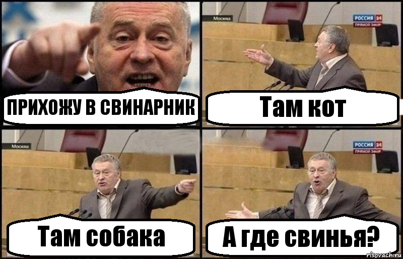 ПРИХОЖУ В СВИНАРНИК Там кот Там собака А где свинья?, Комикс Жириновский