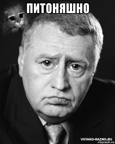 питоняшно , Мем жириновский