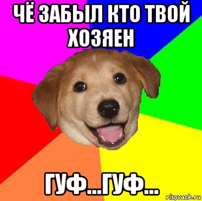 чё забыл кто твой хозяен гуф...гуф..., Мем Advice Dog