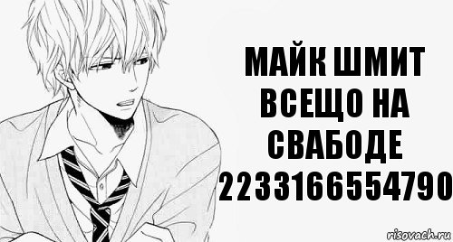 МАЙК ШМИТ ВСЕЩО НА СВАБОДЕ 2233166554790