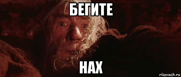 бегите нах, Мем бегите глупцы