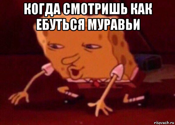 когда смотришь как ебуться муравьи , Мем    Bettingmemes