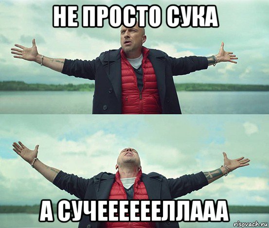 не просто сука а сучееееееллааа, Мем Безлимитище