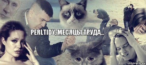 perltidy, месяцы труда..., Комикс боль