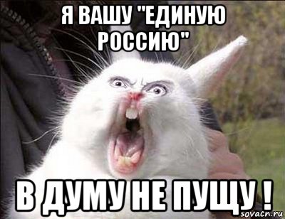 я вашу "единую россию" в думу не пущу !