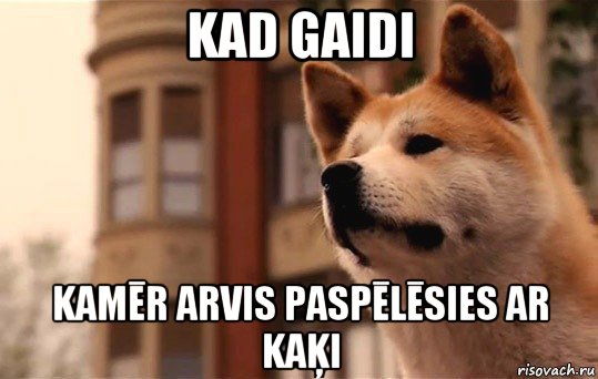 kad gaidi kamēr arvis paspēlēsies ar kaķi, Мем Буду ждать