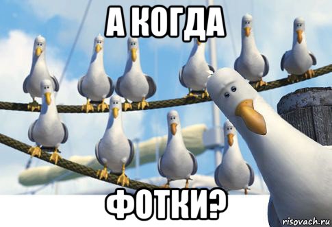 а когда фотки?