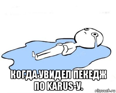  когда увидел пекедж по karus-у.