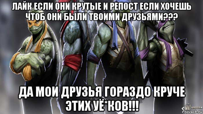 лайк если они крутые и репост если хочешь чтоб они были твоими друзьями??? да мои друзья гораздо круче этих уё*ков!!!, Мем Черепашки ниндзя