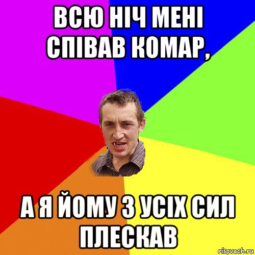 всю ніч мені співав комар, а я йому з усіх сил плескав, Мем Чоткий паца