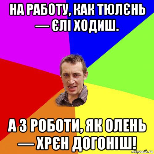 на рaбoту, как тюлєнь — єлі ходиш. а з роботи, як олень — хрєн догоніш!, Мем Чоткий паца