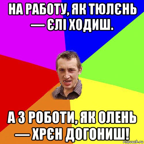 на рaбoту, як тюлєнь — єлі ходиш. а з роботи, як олень — хрєн догониш!, Мем Чоткий паца