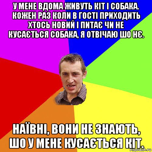 у мене вдома живуть кіт і собака. кожен раз коли в гості приходить хтось новий і питає чи не кусається собака, я отвічаю шо нє. наївні, вони не знають, шо у мене кусається кіт., Мем Чоткий паца