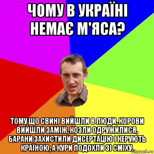 чому в україні немає м'яса? тому що свині вийшли в люди, корови вийшли заміж, козли одружилися, барани захистили дисертацію і керують країною, а кури подохли зі сміху., Мем Чоткий паца