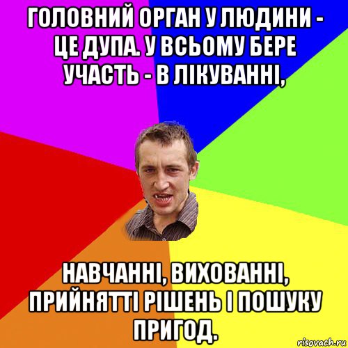 головний орган у людини - це дупа. у всьому бере участь - в лікуванні, навчанні, вихованні, прийнятті рішень і пошуку пригод., Мем Чоткий паца