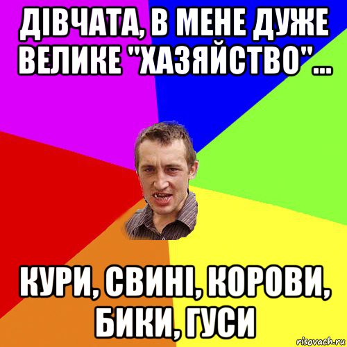 дівчата, в мене дуже велике "хазяйство"... кури, свині, корови, бики, гуси, Мем Чоткий паца