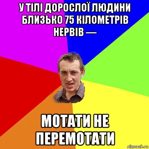 у тілі дорослої людини близько 75 кілометрів нервів — мотати не перемотати, Мем Чоткий паца