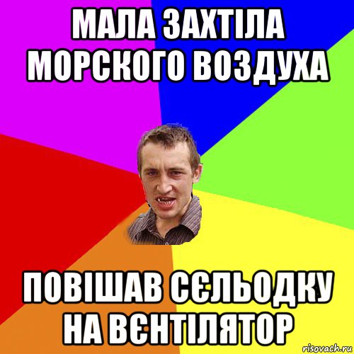 мала захтіла морского воздуха повішав сєльодку на вєнтілятор, Мем Чоткий паца