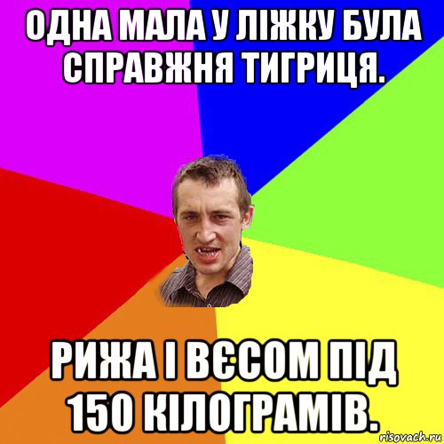 одна мала у ліжку була справжня тигриця. рижа і вєсом під 150 кілограмів., Мем Чоткий паца