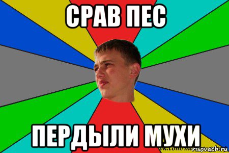 срав пес пердыли мухи