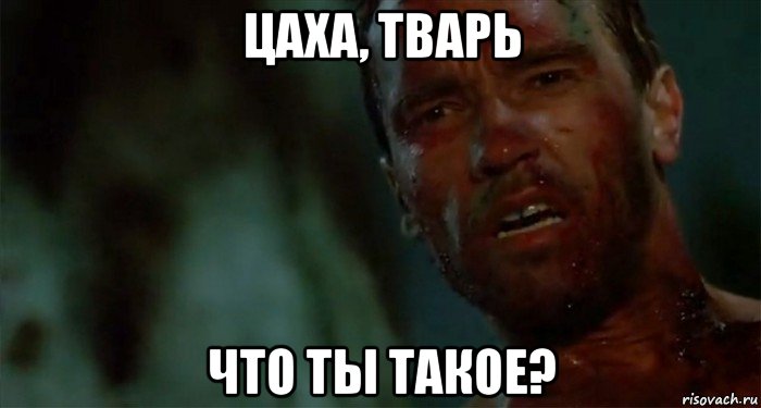 цаха, тварь что ты такое?