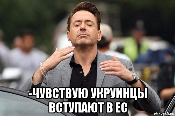  -чувствую укруинцы вступают в ес