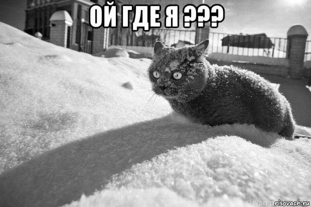 ой где я ??? 