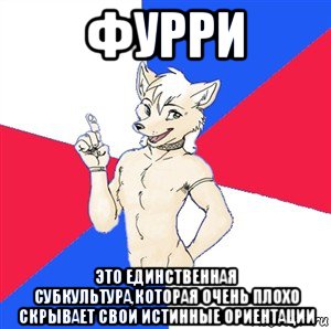 фурри это единственная субкультура,которая очень плохо скрывает свои истинные ориентации, Мем Да я фурь и мне насрать на ваше мнёние