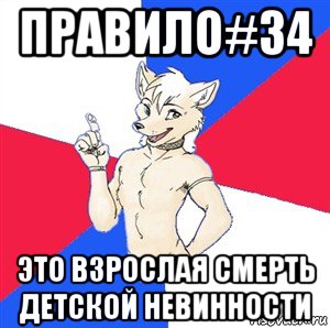 правило#34 это взрослая смерть детской невинности, Мем Да я фурь и мне насрать на ваше мнёние