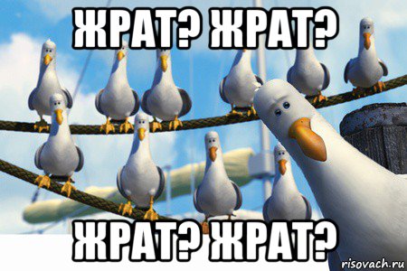 жрат? жрат? жрат? жрат?