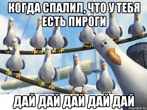 когда спалил, что у тебя есть пироги дай дай дай дай дай