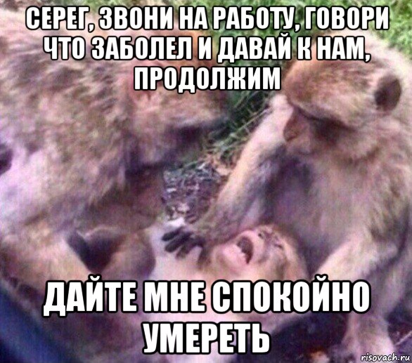 серег, звони на работу, говори что заболел и давай к нам, продолжим дайте мне спокойно умереть