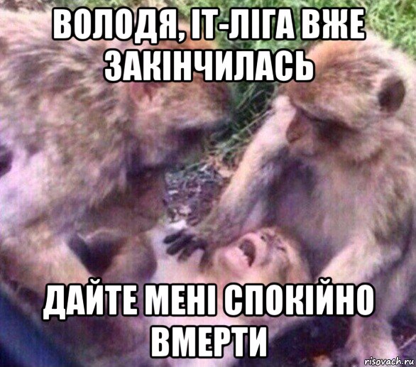 володя, it-ліга вже закінчилась дайте мені спокійно вмерти