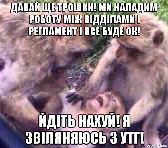 давай ще трошки! ми наладим роботу між відділами і регламент і все буде ок! йдіть нахуй! я звіляняюсь з утг!