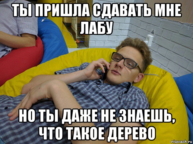 ты пришла сдавать мне лабу но ты даже не знаешь, что такое дерево, Мем Деловой нечай