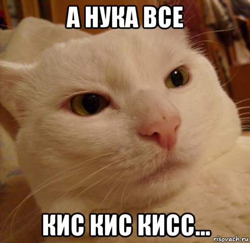 а нука все кис кис кисс..., Мем Дерзкий котэ