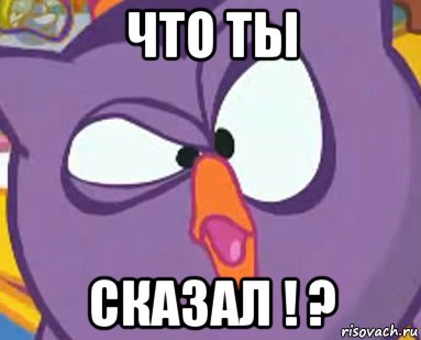 что ты сказал ! ?