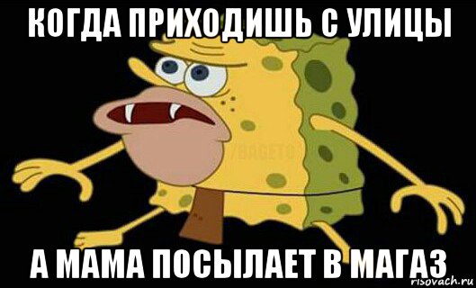 когда приходишь с улицы а мама посылает в магаз, Мем Дикий спанч боб