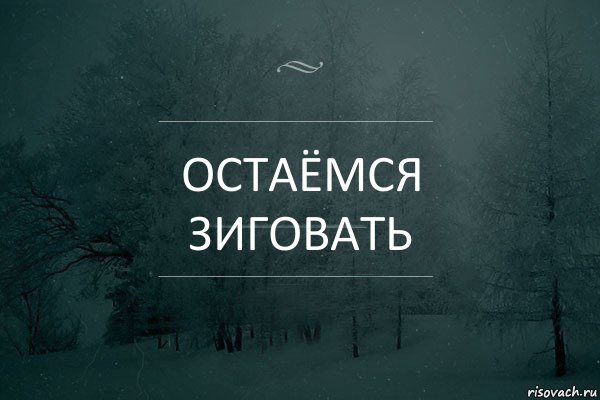 остаёмся зиговать