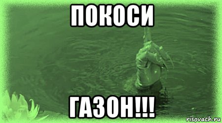 покоси газон!!!